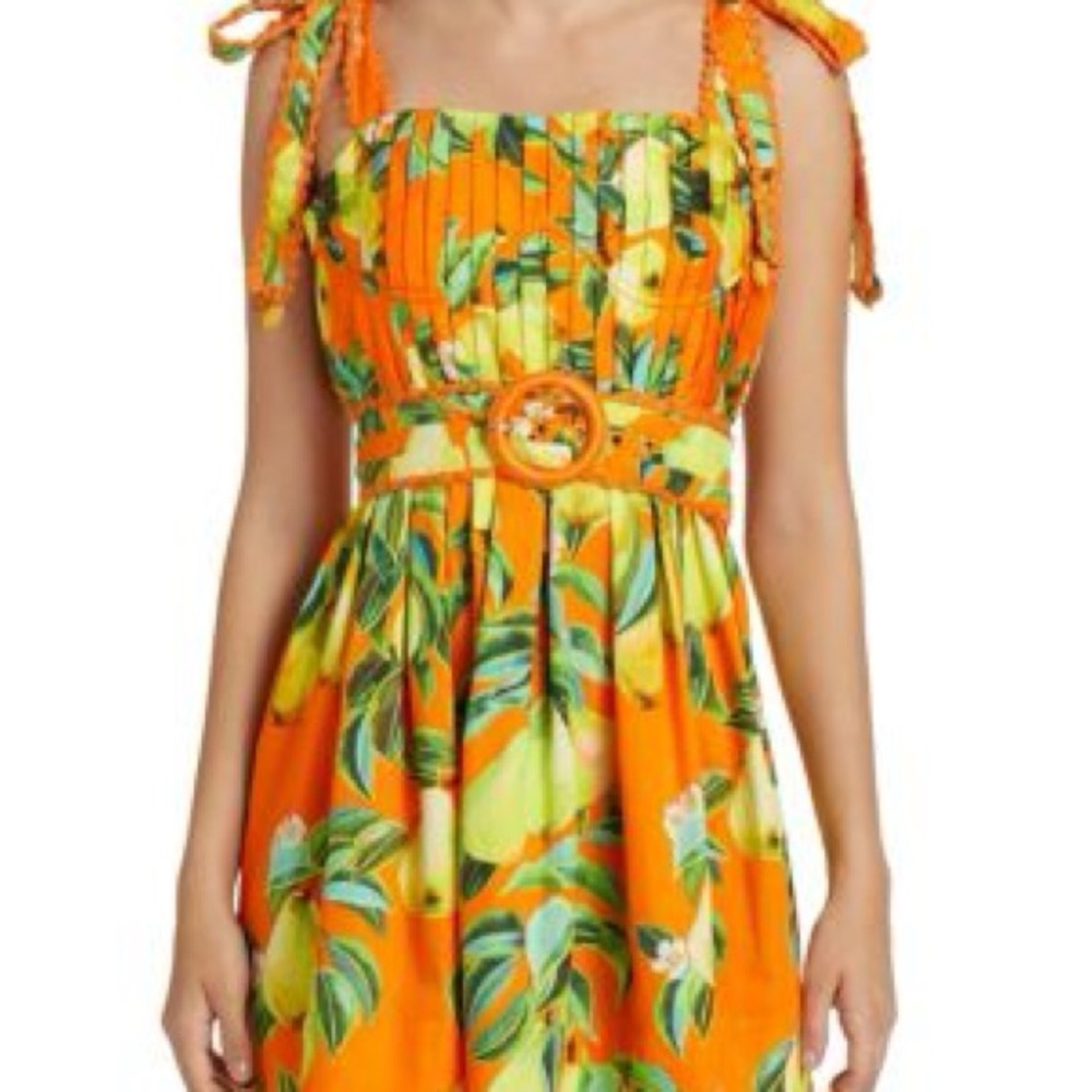 Farm Rio Orange Chic Pears Mini Dress NWT